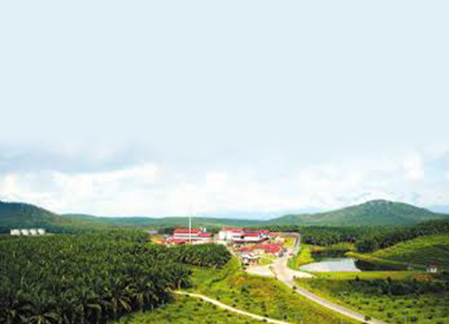 SIME DARBY PLANTATION SDN. BHD.